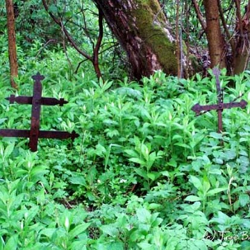 19061003d Wola Michowa, cmentarz, 2006 (foto: P. Szechyński)