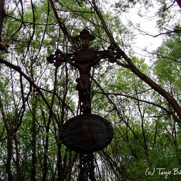 19062804d Wola Michowa, cmentarz, 2006 (foto: P. Szechyński)