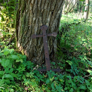 wolamichowa2016f Wola Michowa, cmentarz, 2016 (foto: P. Szechyński)