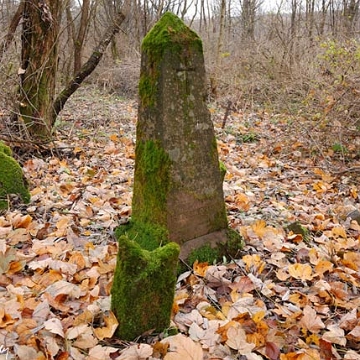 103402wolam8 Wola Michowa, cmentarz, 2007 (foto: P. Szechyński)