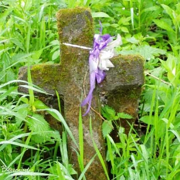 19071207d Wola Michowa, cmentarz, 2006 (foto: P. Szechyński)