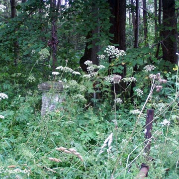 zat7 Zatwarnica, cmentarz, rok 2005 (foto: P. Szechyński)