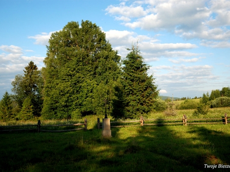 Bukowiec n.Sanem, cmentarz greckokatolicki