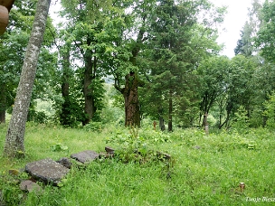 Wołosate, cmentarz i miejsce po cerkwi