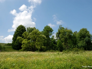 Zubeńsko, cmentarz i miejsce po cerkwi
