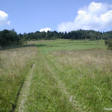 lopienka2003c Łopienka,lato 2003 (foto: P. Szechyński)