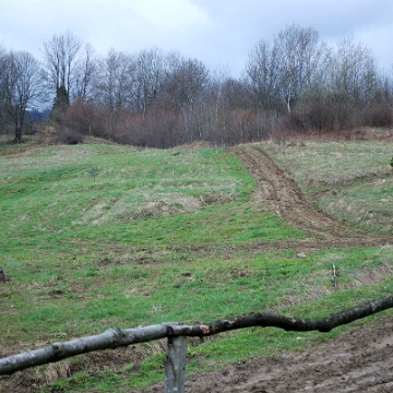 lopienka2010f Łopienka, wiosna 2010 (foto: P. Szechyński)