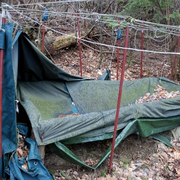 lopienka2010i Łopienka, pozostałości dzikiego obozowiska, wiosna 2010 (foto: P. Szechyński)