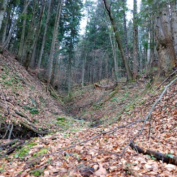 lopienka2010k Łopienka, ściezka od strony Łopiennika, wiosna 2010 (foto: P. Szechyński)