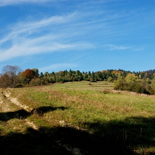 lopienka2013d Łopienka, łąki powyżej cmentarza, jesień 2013 (foto: P. Szechyński)