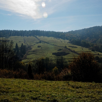 lopienka2013e Łopienka, widoczne tarasy dawnych pól, jesień 2013 (foto: P. Szechyński)