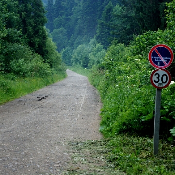 lopienka2019d Droga do Łopienki, 2019 (foto: P. Szechyński)