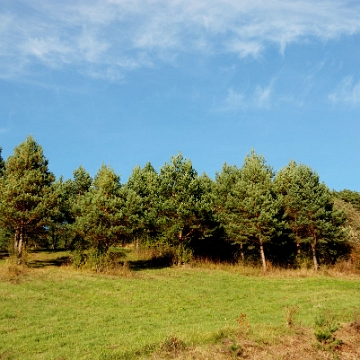 zernica2013c Żernica Wyżna, 2013 (foto: P. Szechyński)