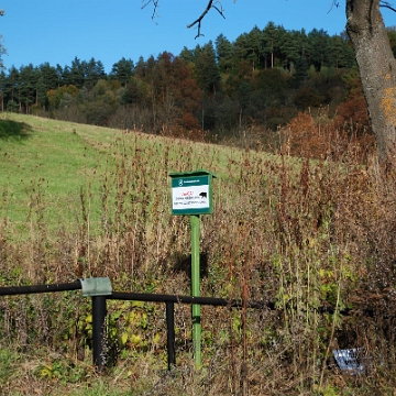 zernica2013f Żernica Wyżna, 2013 (foto: P. Szechyński)