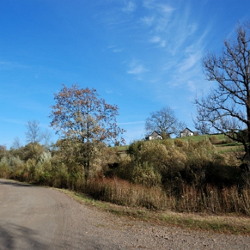 zernica2013g Żernica Wyżna, 2013 (foto: P. Szechyński)