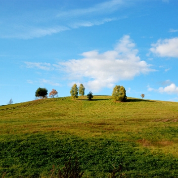 zernica2013l Żernica Wyżna, 2013 (foto: P. Szechyński)