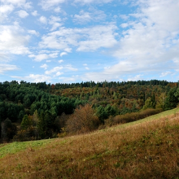 zernica2013m Żernica Wyżna, 2013 (foto: P. Szechyński)