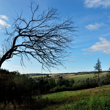 zernica2013n Żernica Wyżna, 2013 (foto: P. Szechyński)