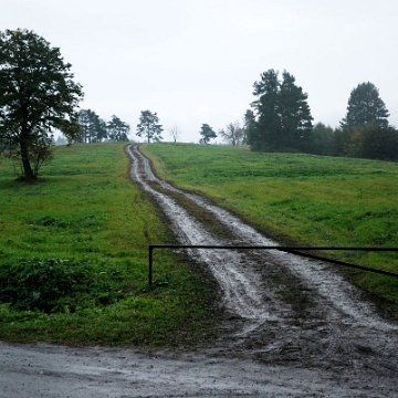 zernica2014d Żernica Wyżna, 2014 (foto: P. Szechyński)