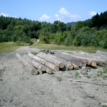 balnica2003a Balnica, 2003 (foto: P. Szechyński)