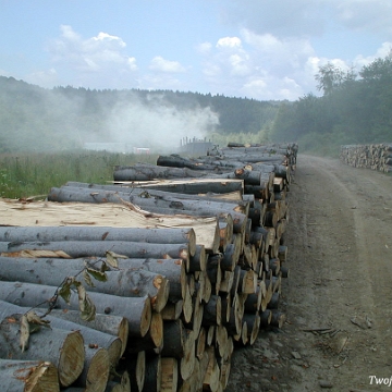 balnica2003c Balnica, dymiące retorty, 2003 (foto: P. Szechyński)