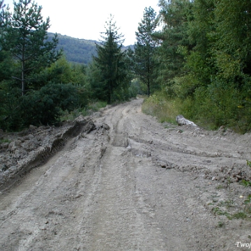 balnica2003e Balnica, 2003 (foto: P. Szechyński)