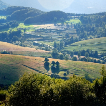 berehy2010a Berehy Górne, tereny dawnej wsi. W tle Przełęcz Wyżna (foto: P. Szechyński)