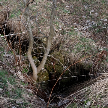 berehy2014c Berehy Górne, tereny dawnej wsi, pozostałości po zabudowie (foto: P. Szechyński)