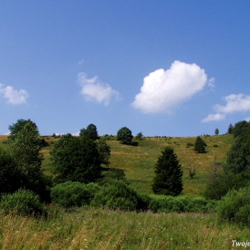 carynskie2004b Caryńskie, Przełęcz nad Nasicznem, lato 2004 (foto: P. Szechyński)