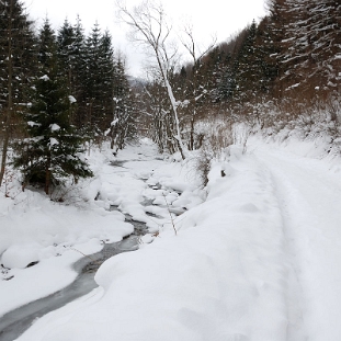 carynskie2012b Caryńskie, droga wzdłuż potoku Caryńczyk od strony Nasicznego, zima 2012 (foto: P. Szechyński)