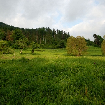 jaworzec2019h Jaworzec, teren dawnej wsi, 2019 (foto: P. Szechyński)