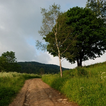 jaworzec2019j Jaworzec, droga do schroniska oraz na teren wsi, 2019 (foto: P. Szechyński)