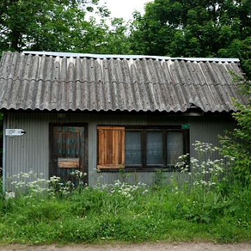 jaworzec2019o Jaworzec, 2019 (foto: P. Szechyński)