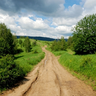 krywe2020d Krywe, droga do wsi przez wzgórze Ryli, 2020 (foto: P. Szechyński)