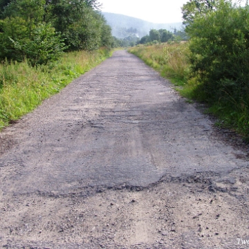 rabe2004e Rabe, 2004 (foto: P. Szechyński)