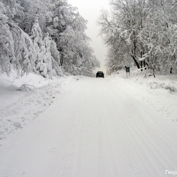 rabe2009d Rabe, droga na Przełęcz Żebrak, 2009 (foto: P. Szechyński)