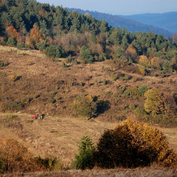 rabe2013z1 Rabe, tereny dawnej wsi, 2013 (foto: P. Szechyński)