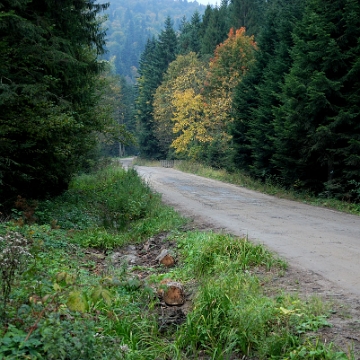 rabe2014n Rabe, 2014 (foto: P. Szechyński)