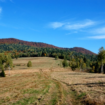 hyrcza2013a Przełęcz Hyrcza (foto: P. Szechyński)