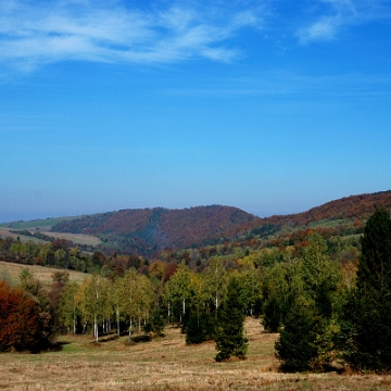 hyrcza2013b Przełęcz Hyrcza, widok w kierunku Tyskowej (foto: P. Szechyński)