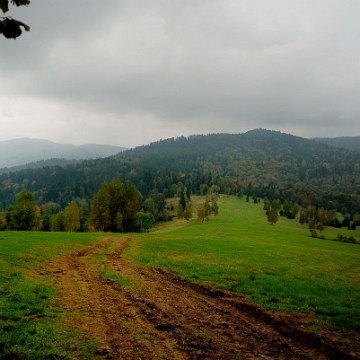 hyrcza2014a Przełęcz Hyrcza (foto: P. Szechyński)