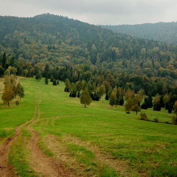 hyrcza2014b Przełęcz Hyrcza (foto: P. Szechyński)