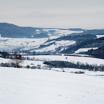 przelecz2010c Przełęcz nad Stężnicą, widok na Stężnicę i Baligród (foto: P. Szechyński)