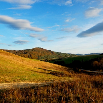 przelecz2013a Przełęcz nad Stężnicą, widok w kierunku Radziejowej (foto: P. Szechyński)