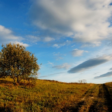 przelecz2013e Przełęcz nad Stężnicą (foto: P. Szechyński)