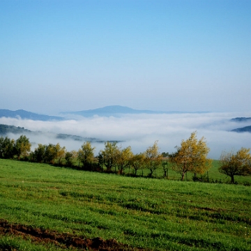 przelecz2018c Przełęcz nad Stężnicą, widok w kierunku Stężnicy i Baligrodu (foto: P. Szechyński)