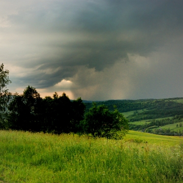 przelecz2019a Przełęcz nad Stężnicą, widok w kierunku Stężnicy (foto: P. Szechyński)