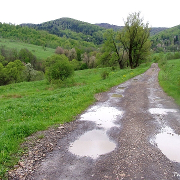 radziejowa2005a Radziejowa, 2005 (foto: P. Szechyński)