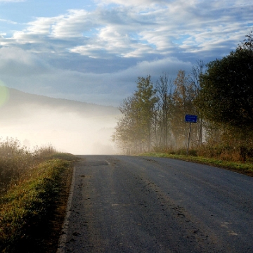 radziejowa2014c Radziejowa, droga z przełęczy nad Stężnicą (foto: P. Szechyński)