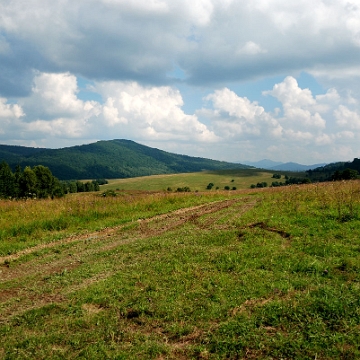 radziejowa2018b Radziejowa (foto: P. Szechyński)